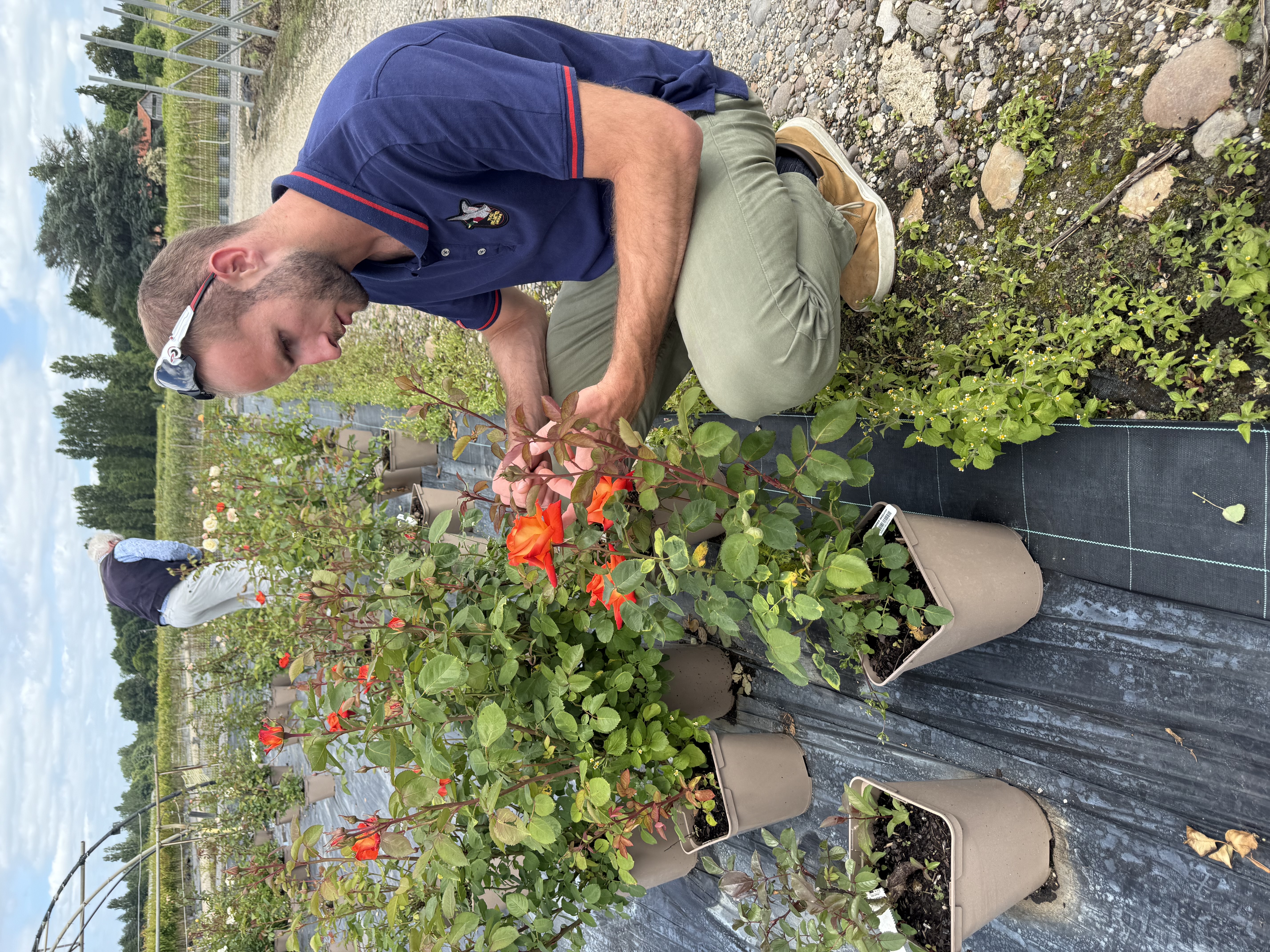 Collection de plantes prêtes à être installées