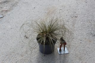 Pot 3L