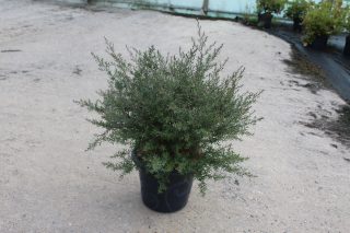 Pot 7.5L