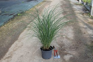Pot 3L