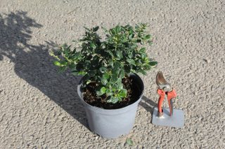 Pot 3L