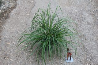 Pot 3L