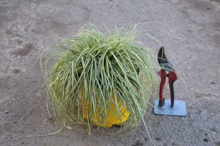 Pot 3L
