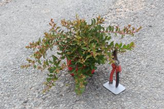Pot 3L