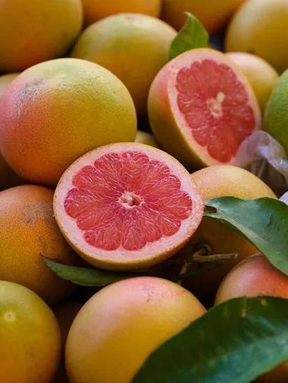 Pamplemousse 'star rubi'