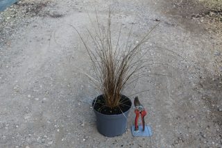 Pot 3L