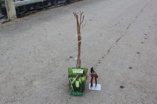 Pot 2L
