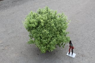 Pot 3L