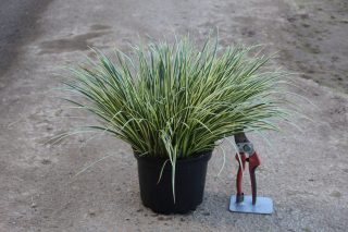 Pot 3L