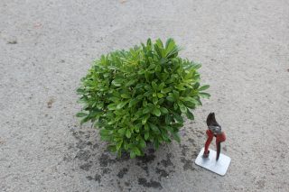Pot 3L