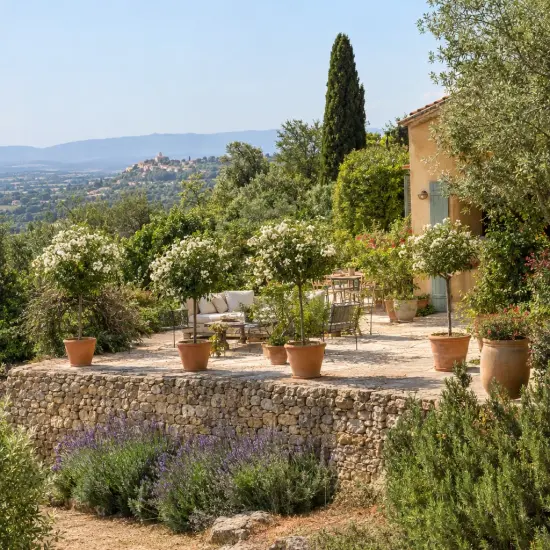 Lilas des indes 'White star' (Lagerstroemia indica) — terrasse méditerranéenne avec arbustes en pots fleuris