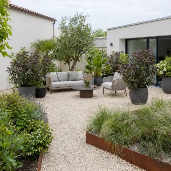 Plante à feuillage 'Moas toes' (Pseudopanax lessonii) — terrasse moderne gravillonnée avec grands arbustes en pot · Photo d'illustration