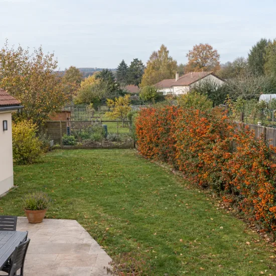 Buisson ardent orange 'Orange glow' (Pyracantha coccinea) — longue haie arbustive orange le long d'une clôture · Photo d'illustration