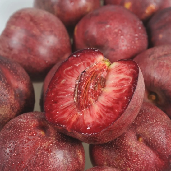 Nectarinier 'Sanguine d auvergne'