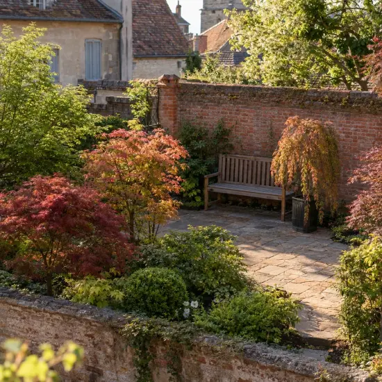 Érable du japon 'Cascade emerald' (Acer palmatum) — petit jardin clos avec érables colorés