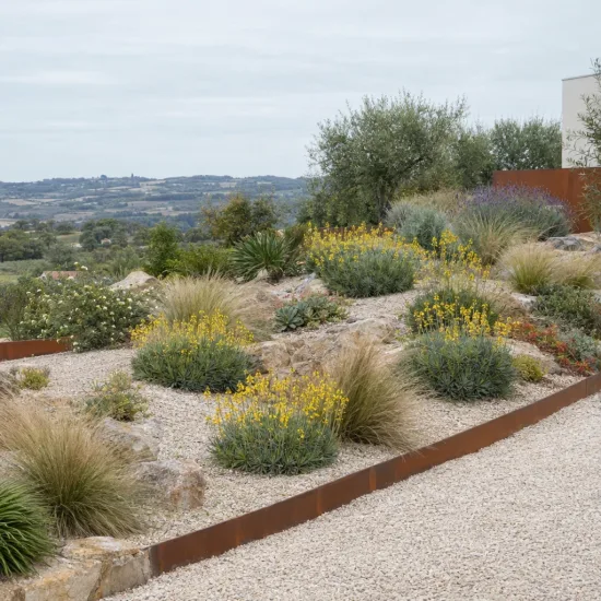Bulbine jaune 'Yellow' (Bulbine caulescens) — massif méditerranéen sur gravier avec fleurs jaunes · Photo d'illustration