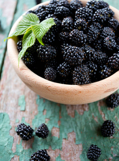 Ronce commune 'Fruits noirs reuben'