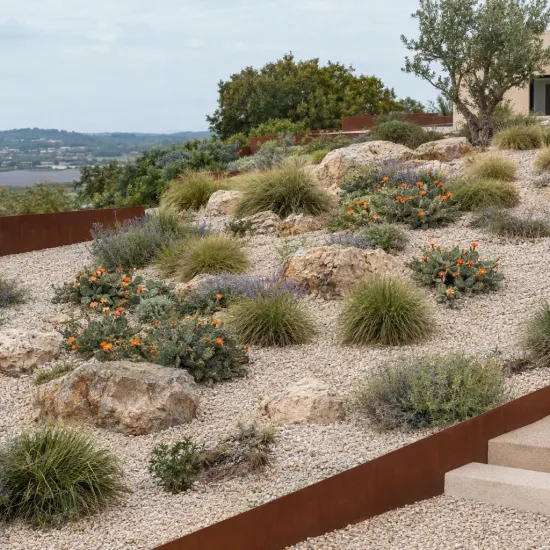Cactée 'Orangeade' (Opuntia phaecantha) — massif minéral avec touffes fleuries orange et graminées · Photo d'illustration
