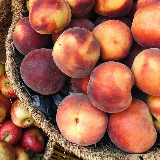 Pêcher 'Orlandine'