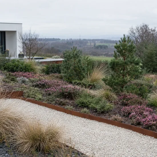 Bruyère 'Ghost hills rose' (Erica darleyensis) — massif paysager avec buissons fleuris et allée gravillonnée · Photo d'illustration