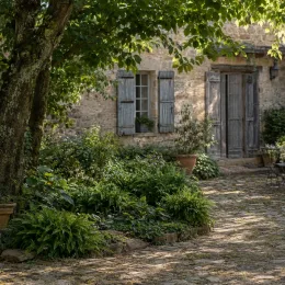 Fougère de boston rustique 'Artic jungle' (Nephrolepsis cordifolia) — massif de fougères devant maison en pierre · Photo d'illustration