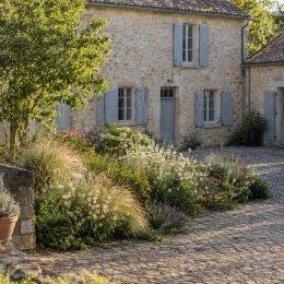 Gaura 'Belleza white' (Gaura lindheimeri) — massif fleuri devant maison en pierre lumineuse · Photo d'illustration