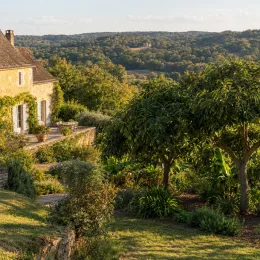 Avocatier race antillaise 'Nachar' (Persea americana) — jardin paysager avec grands arbres près d’une maison · Photo d'illustration