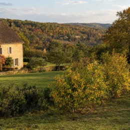Orange trifoliée pomeroy 'Pomeroy' (Poncirus trifoliata) — massif arbustif devant maison en pierre à la campagne · Photo d'illustration
