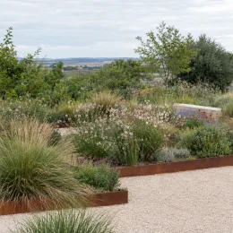 Gaura 'Whirling butterflies' (Gaura lindheimeri) — massif de graviers avec vivaces légères au jardin · Photo d'illustration