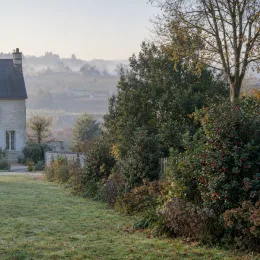Houx arbustif femelle 'Blue angel' (Ilex × meserveae) — massif arbustif avec houx à baies rouges · Photo d'illustration
