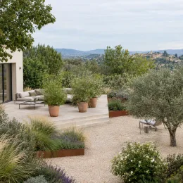 Verveine citronnelle (Aloysia citriodora) — grande terrasse avec arbustes en pot et jardin sec · Photo d'illustration