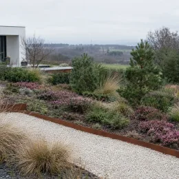 Bruyère 'Ghost hills rose' (Erica darleyensis) — massif paysager avec buissons fleuris et allée gravillonnée · Photo d'illustration