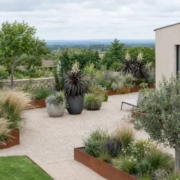 Cordyline 'Obtecta superstar' (Cordyline australis) — massifs contemporains avec grandes potées graphiques sur terrasse