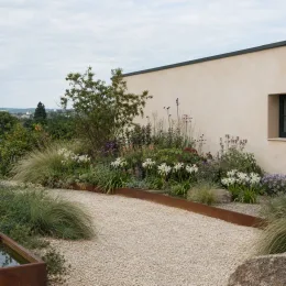 Lis de guernesey 'Alba' (Nerine bowdenii) — massif de graminées et fleurs blanches près d’une maison · Photo d'illustration