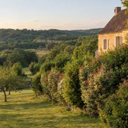 Houx commun panaché 'Ingramii' (Ilex aquifolium) — longue haie arbustive panachée devant maison rurale · Photo d'illustration
