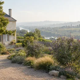 Gattilier 'Flip side' (Vitex agnus-castus) — massif de buissons fleuris devant maison et vallée