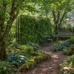 Herbe de l'immortalité (Gynostemma pentaphyllum) — tonnelle végétale recouvrant table et chaises de jardin · Photo d'illustration