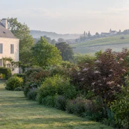 Sureau pourpre 'Guincho purple' (Sambucus nigra) — massif arbustif coloré dans grand jardin champêtre