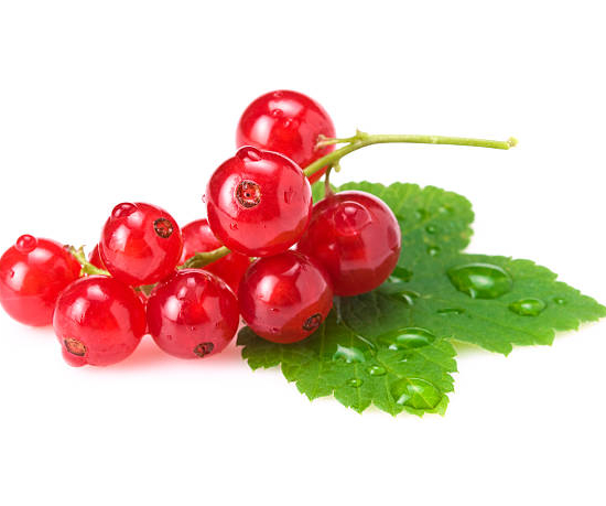 Groseillier à grappes 'Delbard giganta rouge'
