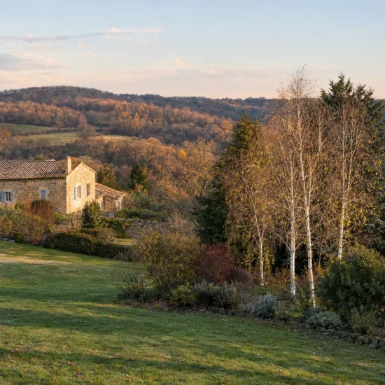 Bouleau de l'himalaya 'Doorenbos' (Betula utilis) — alignement de jeunes arbres près d'une maison en pierre · Photo d'illustration