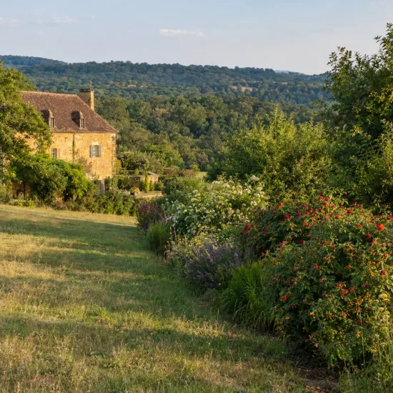Rosier rugueux carmen 'Carmen' (Rosa rugosa) — massif d’arbustes fleuris le long d’une pelouse · Photo d'illustration