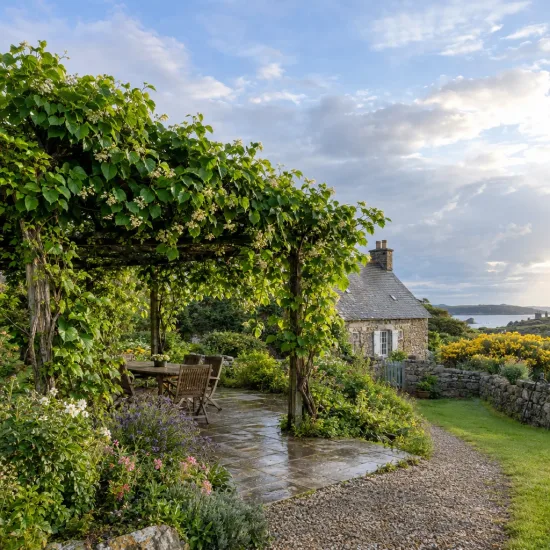 Kiwi 'Tomuri' (Actinidia deliciosa) — pergola de jardin couverte de vigne verdoyante · Photo d'illustration