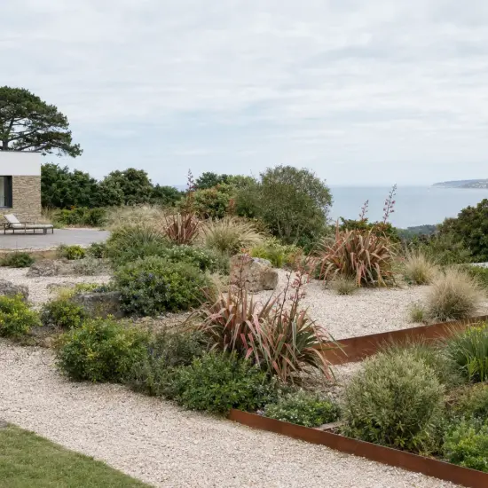 Lin de nouvelle-zélande 'Rainbow maiden' (Phormium tenax) — massif de graminées et arbustes en jardin côtier