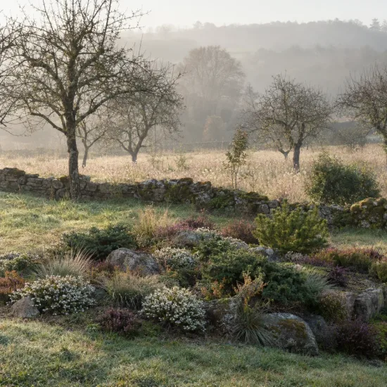 Bruyère d'hiver blanche 'Silbershmelze' (Erica × darleyensis) — massif de plantes basses et arbustes au jardin · Photo d'illustration
