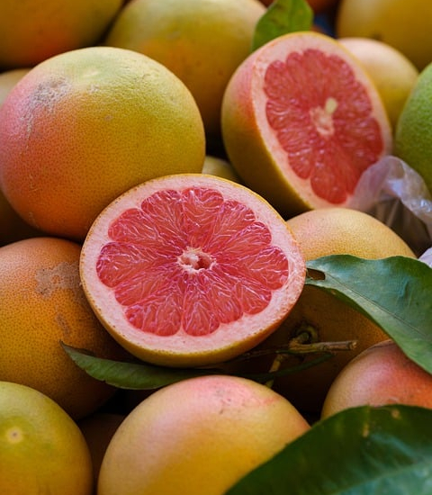 Pamplemousse 'star rubi'