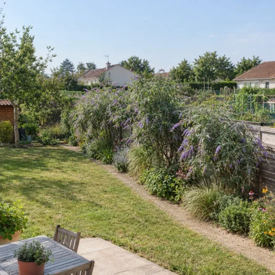 Arbre aux papillons de lindley (Buddleia lindleyana) — massif d'arbustes fleuris le long d'un jardin · Photo d'illustration
