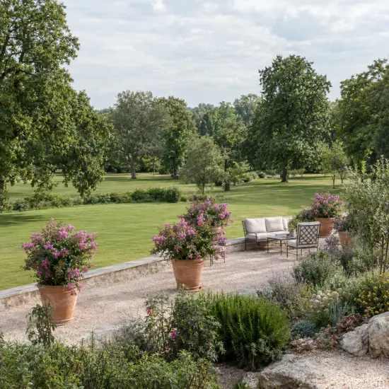 Lilas des indes 'Mardi gras' (Lagerstroemia indica) — grands arbustes fleuris en pot sur terrasse