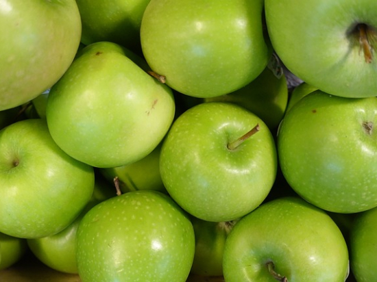 Pommier granny smith