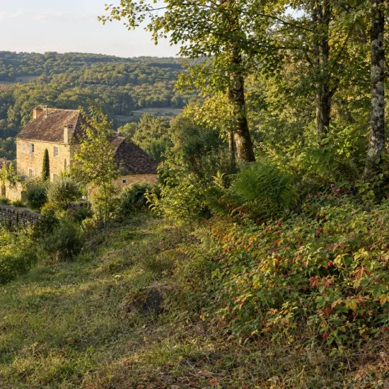 Framboisier fraise (Rubus illecebrosus) — maison en pierre dans paysage boisé vallonné · Photo d'illustration