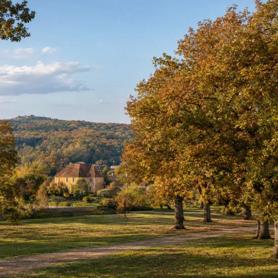 Chêne (Quercus) — grands arbres au feuillage doré près d’une maison · Photo d'illustration